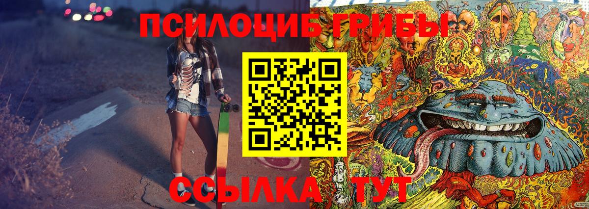 Галлюциногенные грибы Psilocybe Карпинск