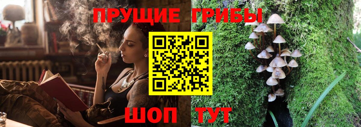 Галлюциногенные грибы GOLDEN TEACHER  Вход с VPN  наркота  Карпинск 